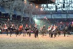 Cavalry - 00255